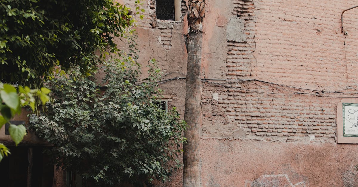 How can you tell if a Moroccan rug is real?